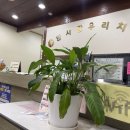 한사랑우리치과의원 이미지