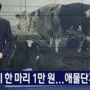 영철목장 이미지