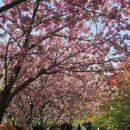 완산-89 네이버블로그