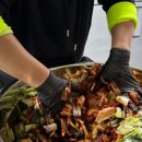 강남-283 이미지