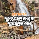 [베트남/달랏] 다딴라 폭포 + 알파인코스터 후기 (레일바이크, 루지 티켓 사진 가격)