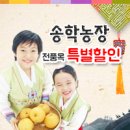 백자골농원 네이버블로그
