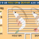 가락서비스 이미지