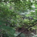 쌍지보건진료소 이미지