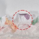 매너독 라이프 이미지