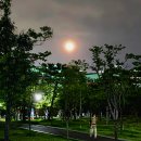 공원사거리 이미지