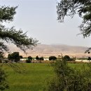 에브라임농장 이미지