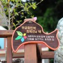 내도마을 이미지
