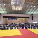파라에스트라양주주짓수mma