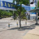 동춘당공원 맞은편 이미지