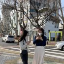 예람약국 이미지