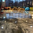 오픈독하우스 이미지