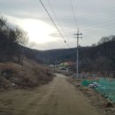 용인 도그파크랜드 캠핑장 후기