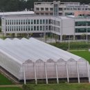 (주)비에스팜 이미지