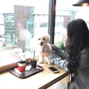 윤후동물병원