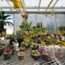 메디움천안요양병원 이미지