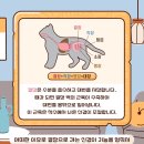 고양 우리아이 동물병원 이미지