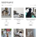 낭창한 강아지 이미지