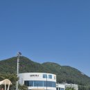 포레스트오션 | [포항 오션뷰 카페] 화진해수욕장 핫플 '아우로라' 내돈내산 후기 (주차, 베이커리 추천) 🌊