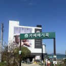 카페 해시목 | 거제 애견동반 카페 거제 수플레팬케이크 맛집 카페해시목