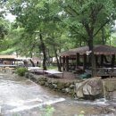 금화농원 이미지