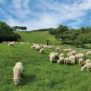 제천시 특별교통수단 및 이동지원센터 이미지