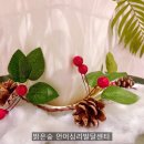 밝은숲 이미지