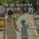 세일투어 | 오사카 버스투어 교토 당일치기 여행 일본 교토 버스투어 여름 후기 추천? 비추천?