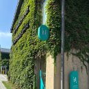 씨유 대구창조경제단지점 | 대구 북구 침산동 피부관리 웨딩케어 대구 에스테틱 ‘노멀리즈 에스티틱 창조경제단지점’ 후기