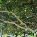 남해-296 이미지