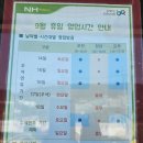 옹진농협 자월지점 이미지