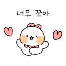 샐러즈 티스토리