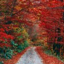 시원바이오텍 이미지