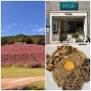 문화공원_하 | 정읍사문화공원 핑크뮬리 실시간보고 정읍맛집 다시,올에서 식사