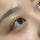 동성그린아파트 | 중랑구 신내동 둥근바짝펌 속눈썹 맛집 ‘그린건나야’ 후기