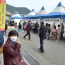 덕포 펭귄 이미지