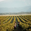 알프스 태양광발전소 이미지