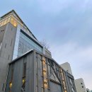 파이브카케어 - 3966 | 초초초 상세한 빌라드지디 수서 웨딩홀 투어, 강남 밝은 홀, 27년 예식, 장단점, 계약O