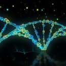 (주)필소프트 이미지