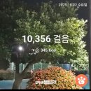 좌수영약국 이미지