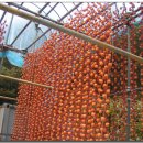 대웅농장 이미지