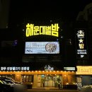 해운대별밤 | 부산 해운대 감주 핫플 술집 추천 해운대별밤 후기