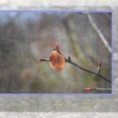 파워 복싱 스쿨 이미지