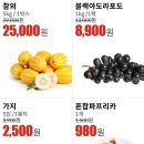 농협하나로마트 앞 이미지