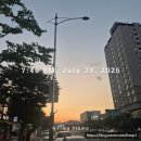 리틀팜약국 네이버블로그