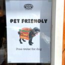 참조은펫 이미지