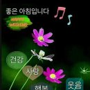소금빛풍천장어 이미지