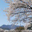 단성생활체육공원 이미지