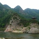 초강농장3 이미지