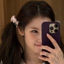 보떼미헤어